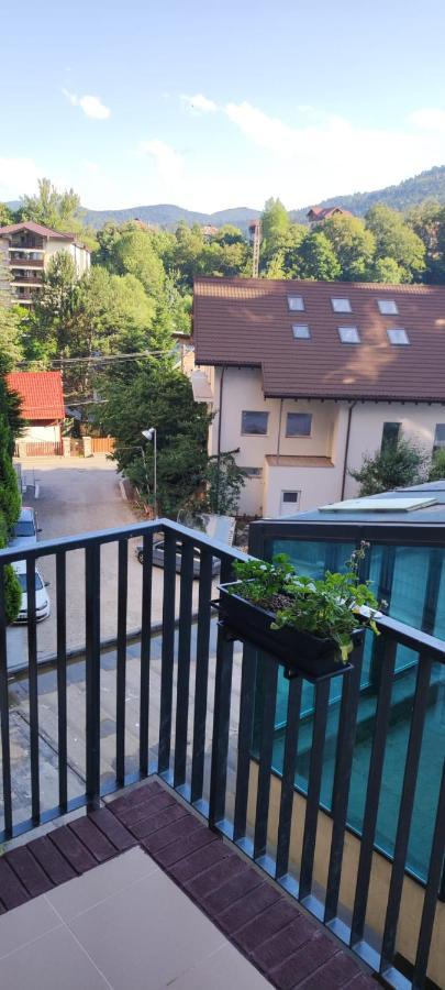 Апартаменти Jacuzzi Belle View Sinaia-Free Parking Екстер'єр фото